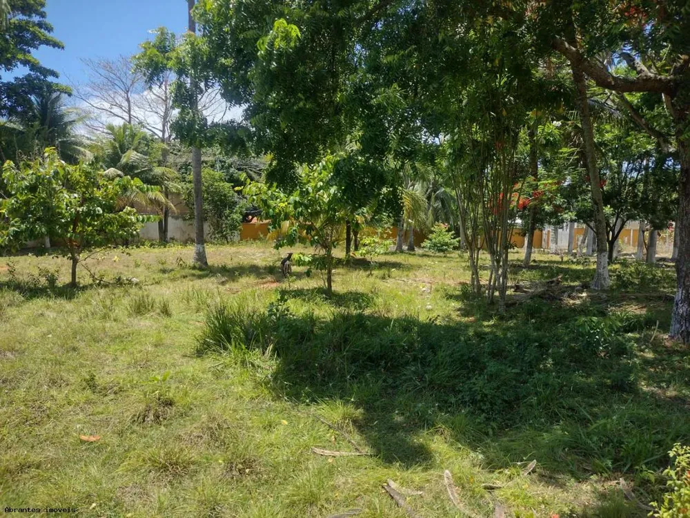 Terreno, 4000 m² - Foto 6