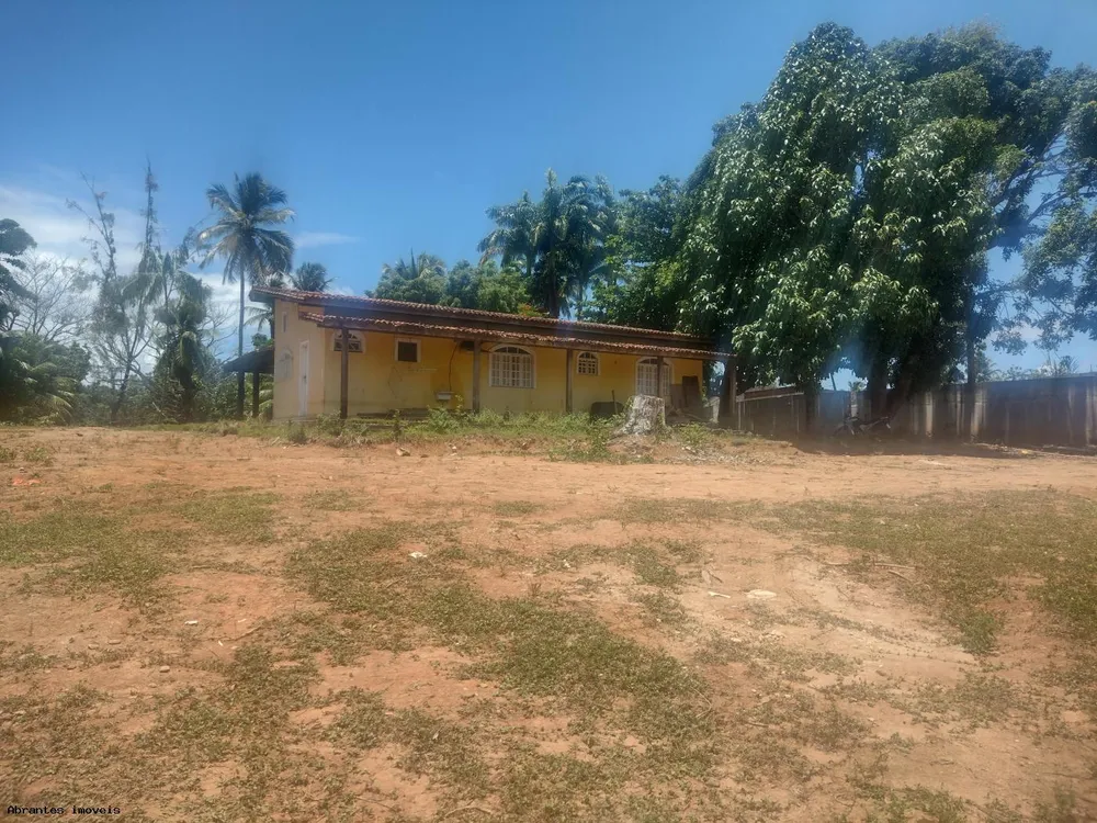 Sítio, 3 quartos, 4000 m² - Foto 2