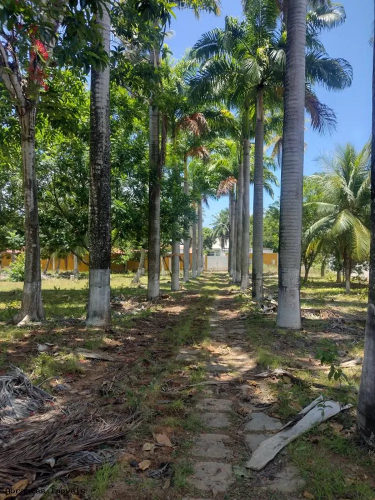 Terreno, 4000 m² - Foto 8