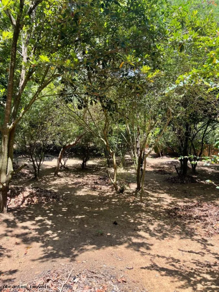 Sítio, 2 quartos, 5000 m² - Foto 4