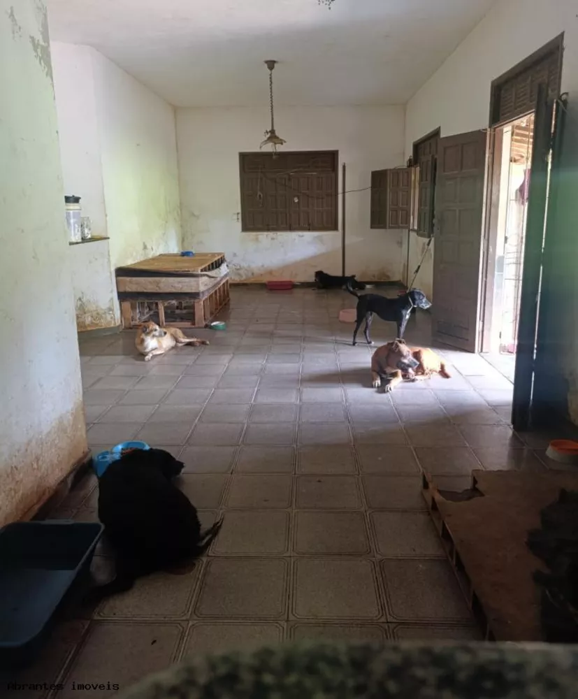 Sítio, 2 quartos, 5000 m² - Foto 2