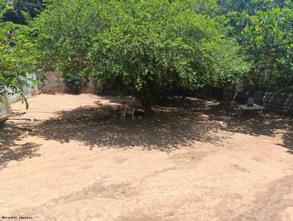 Sítio, 2 quartos, 5000 m² - Foto 1