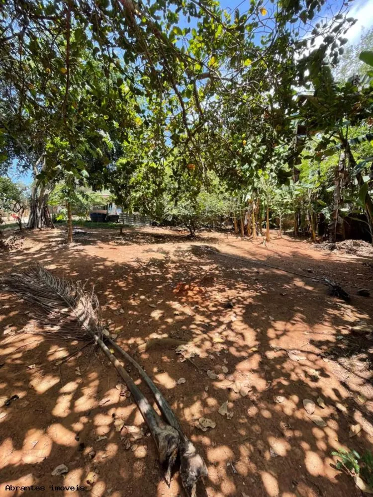 Sítio, 2 quartos, 5000 m² - Foto 3