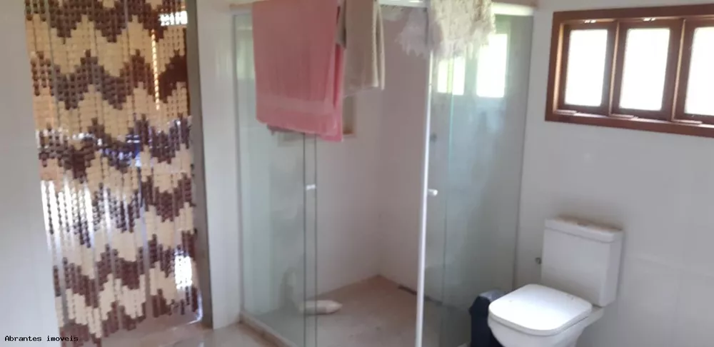 Sítio, 10000 m² - Foto 3