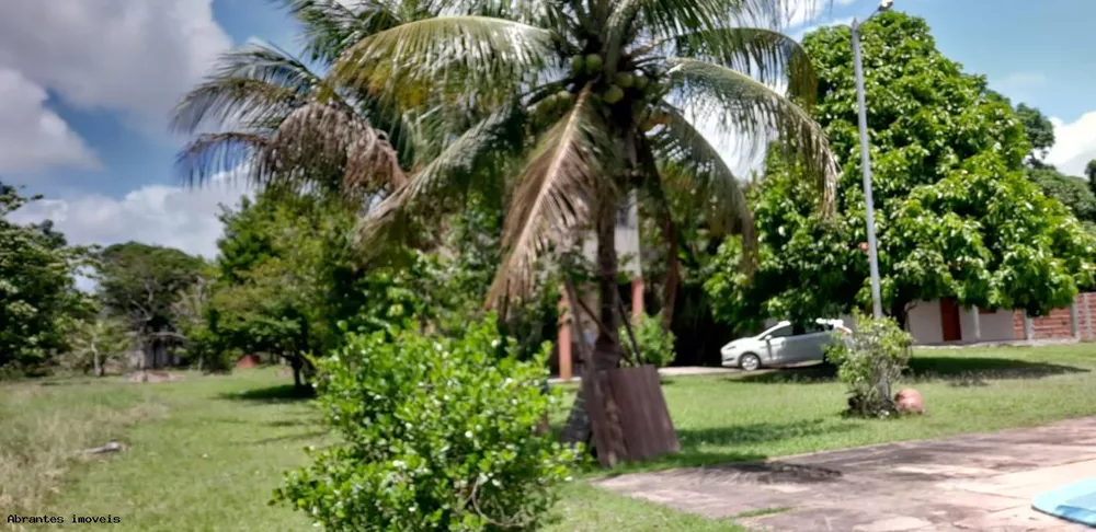 Sítio, 10000 m² - Foto 1