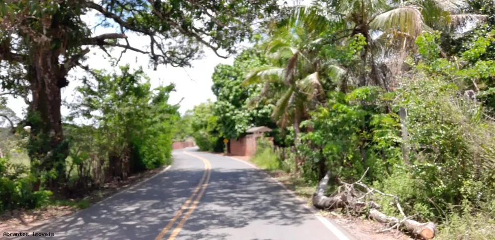 Sítio, 10000 m² - Foto 2