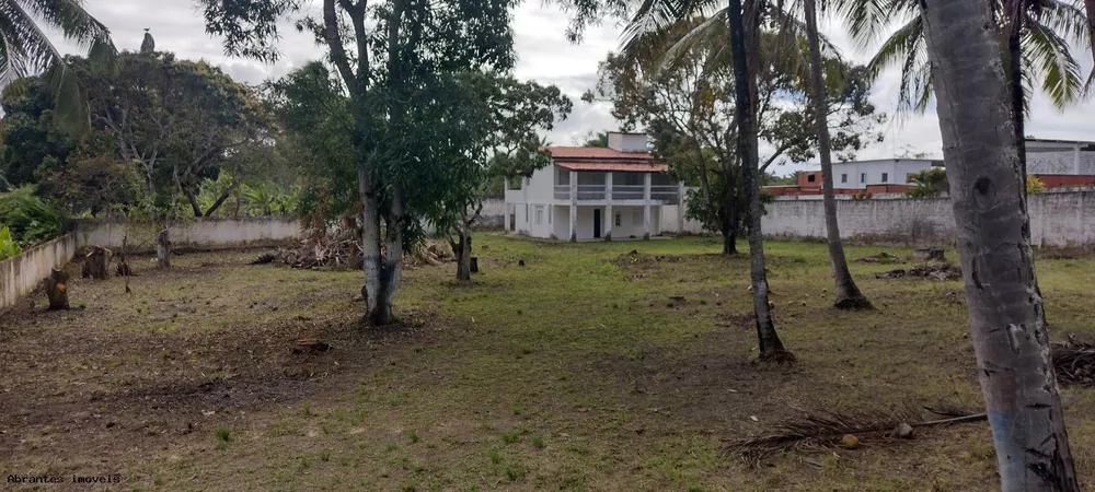 Sítio, 4 quartos, 2500 m² - Foto 4