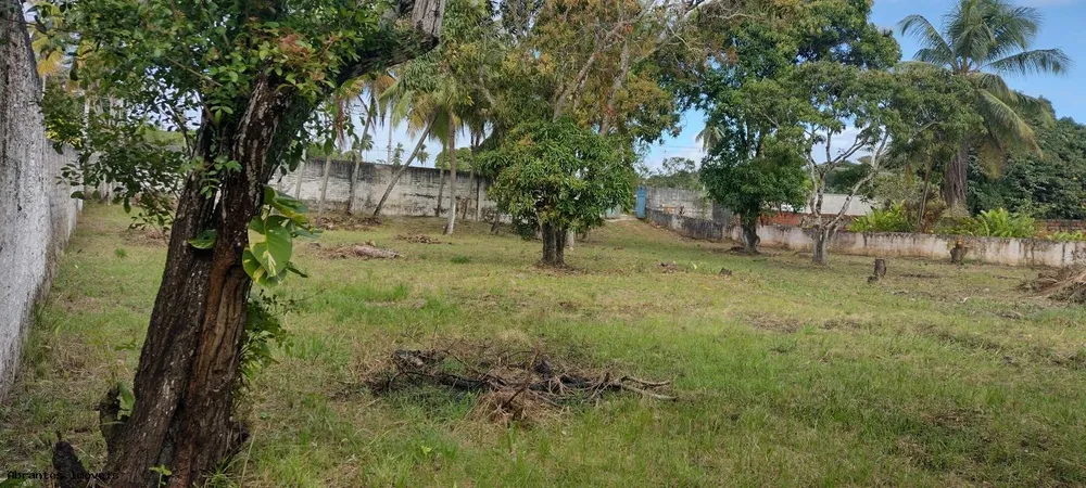 Sítio, 4 quartos, 2500 m² - Foto 5