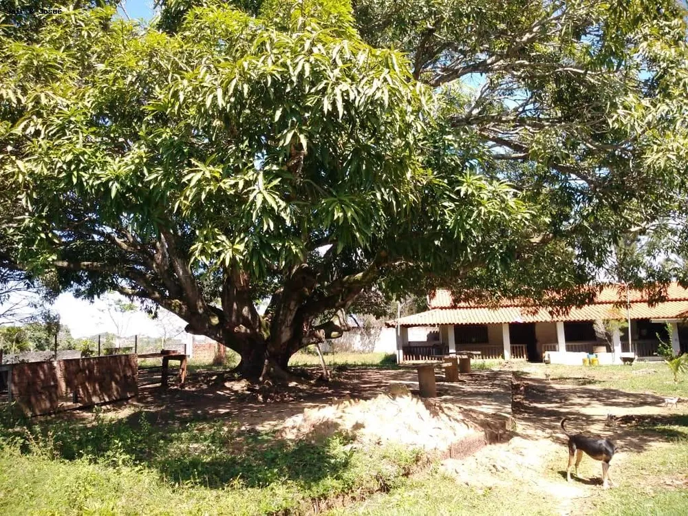 Sítio, 4 quartos, 4160 m² - Foto 5