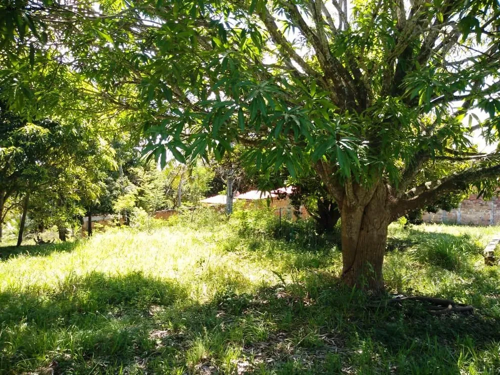 Sítio, 4 quartos, 4160 m² - Foto 6