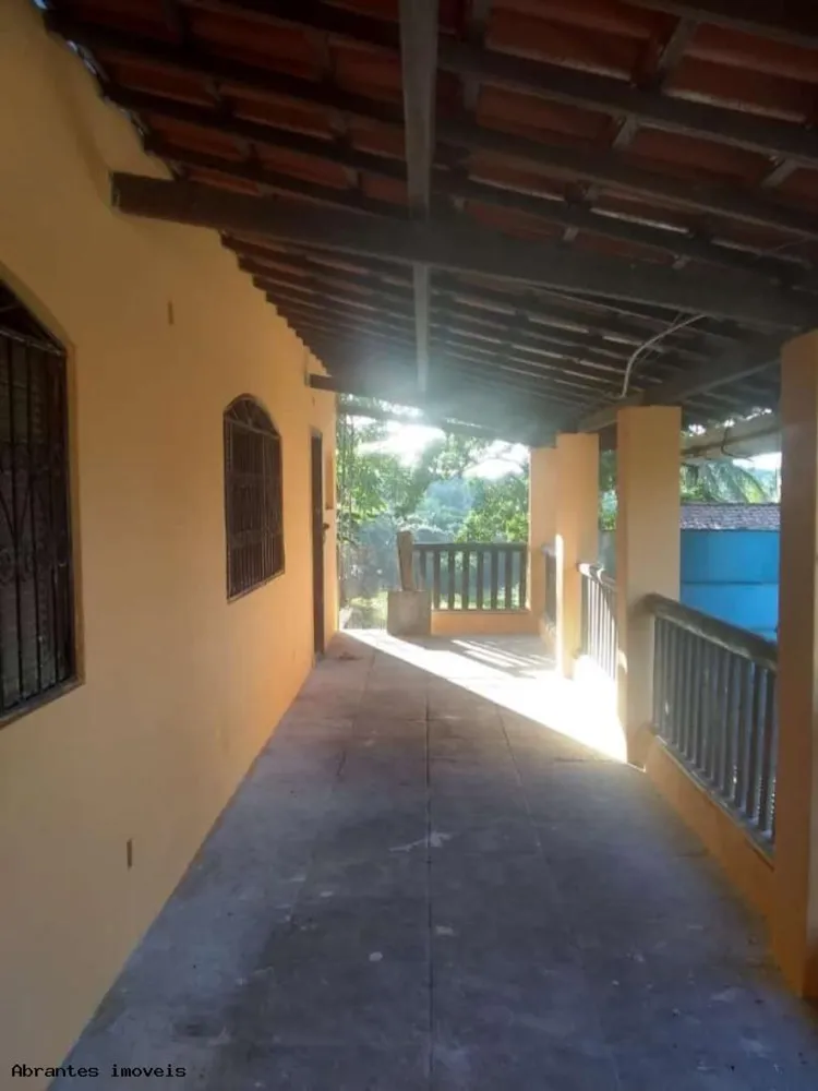 Sítio, 4 quartos, 4160 m² - Foto 11