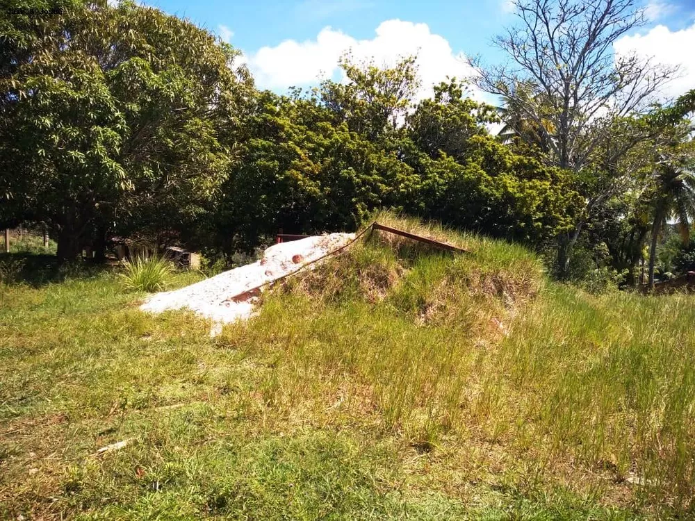 Sítio, 4 quartos, 4160 m² - Foto 6