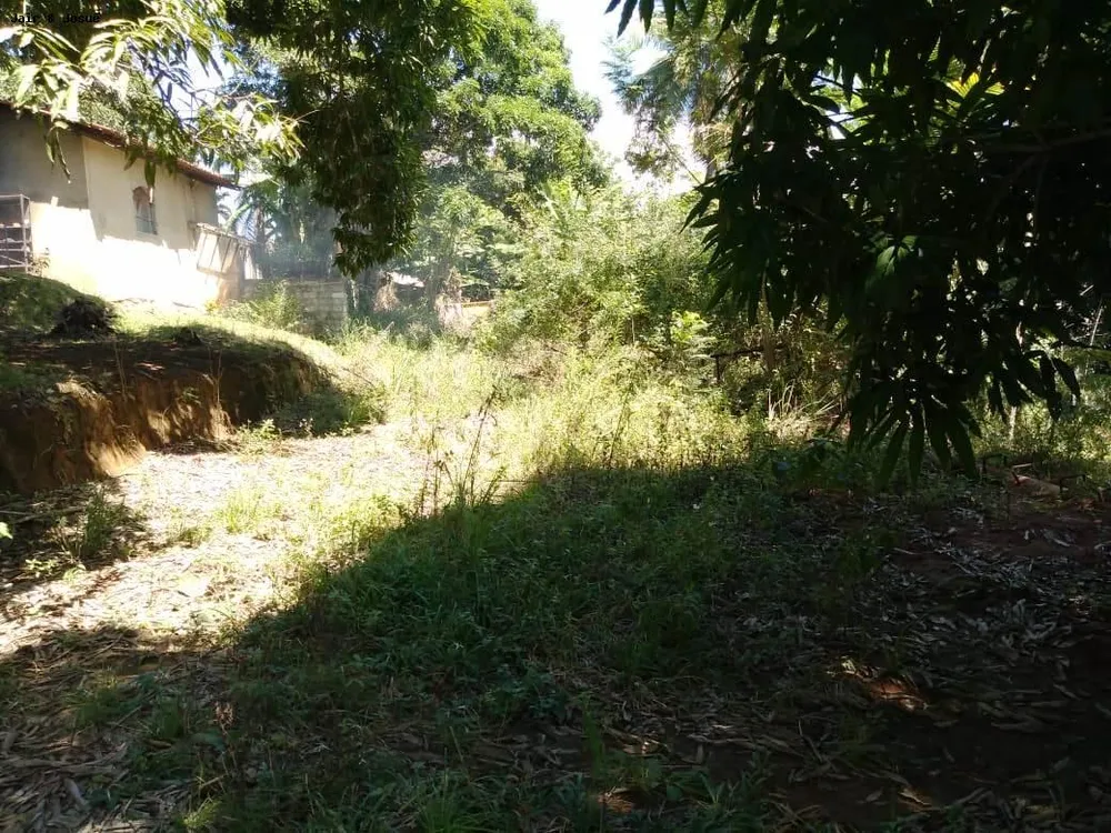 Sítio, 4 quartos, 4160 m² - Foto 8