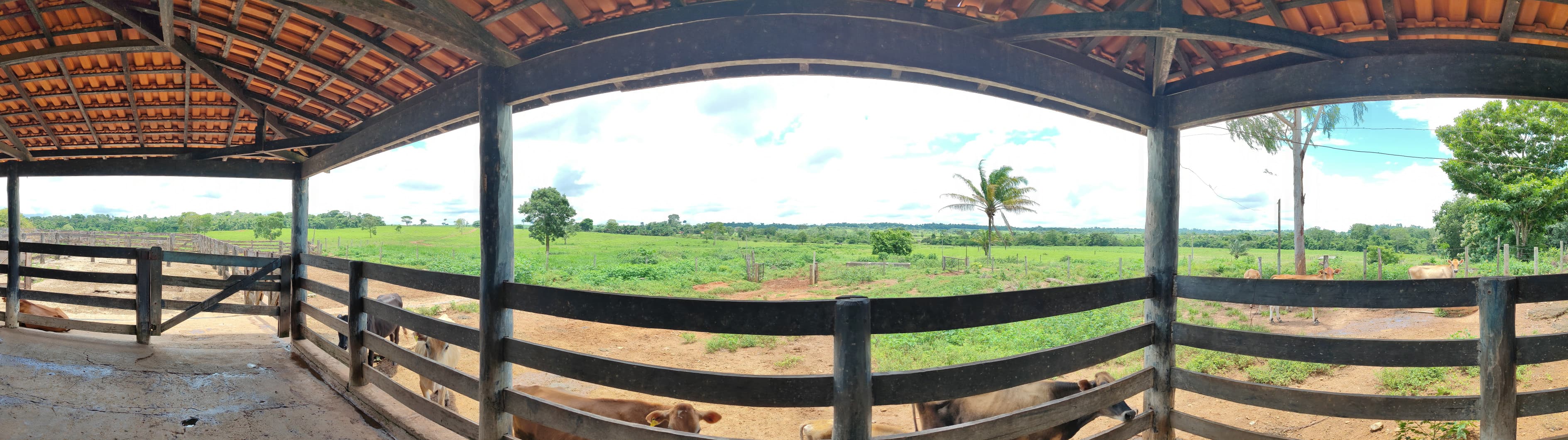 Fazenda à venda, 4960000m² - Foto 2