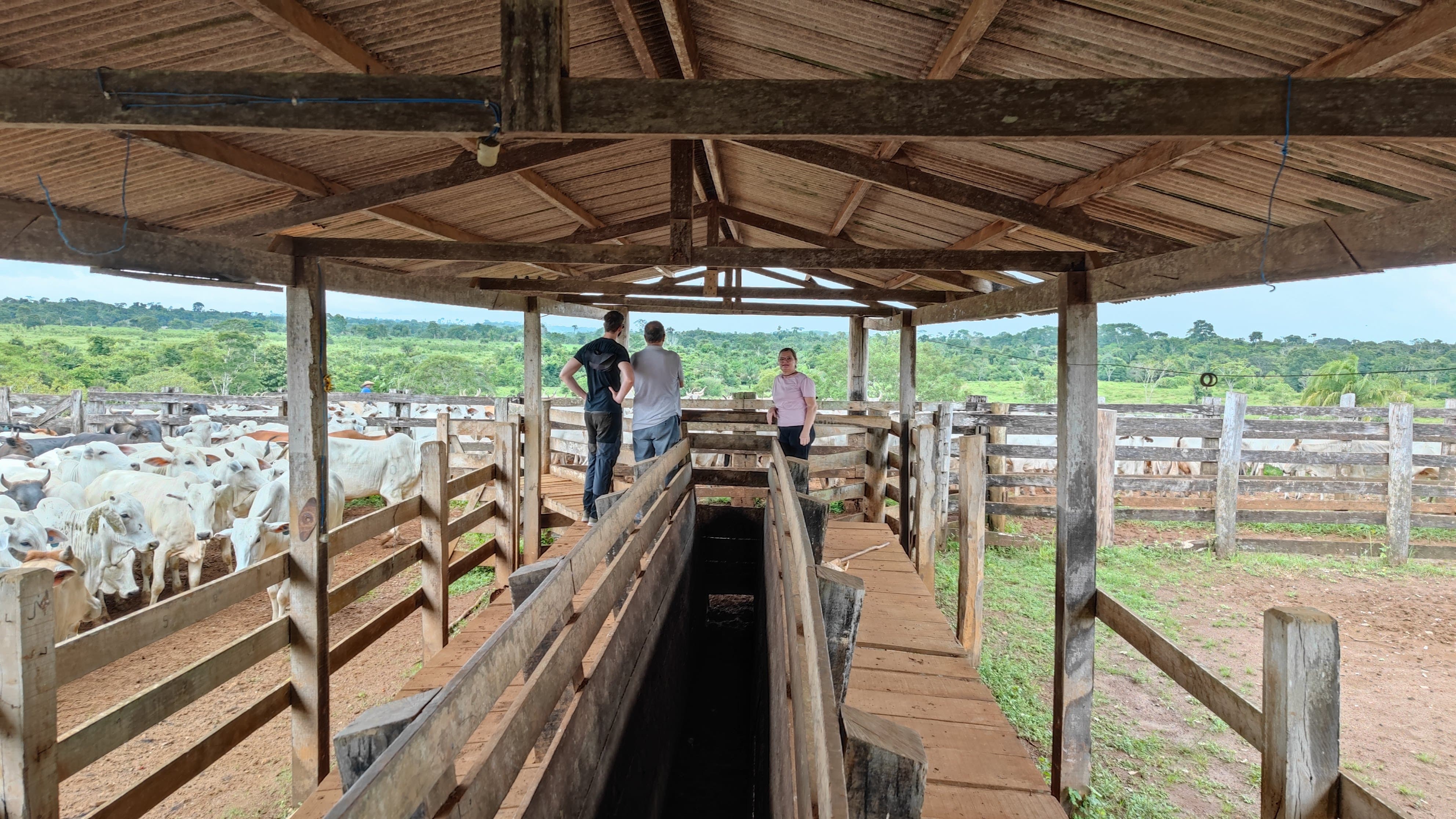 Fazenda à venda, 4960000m² - Foto 4