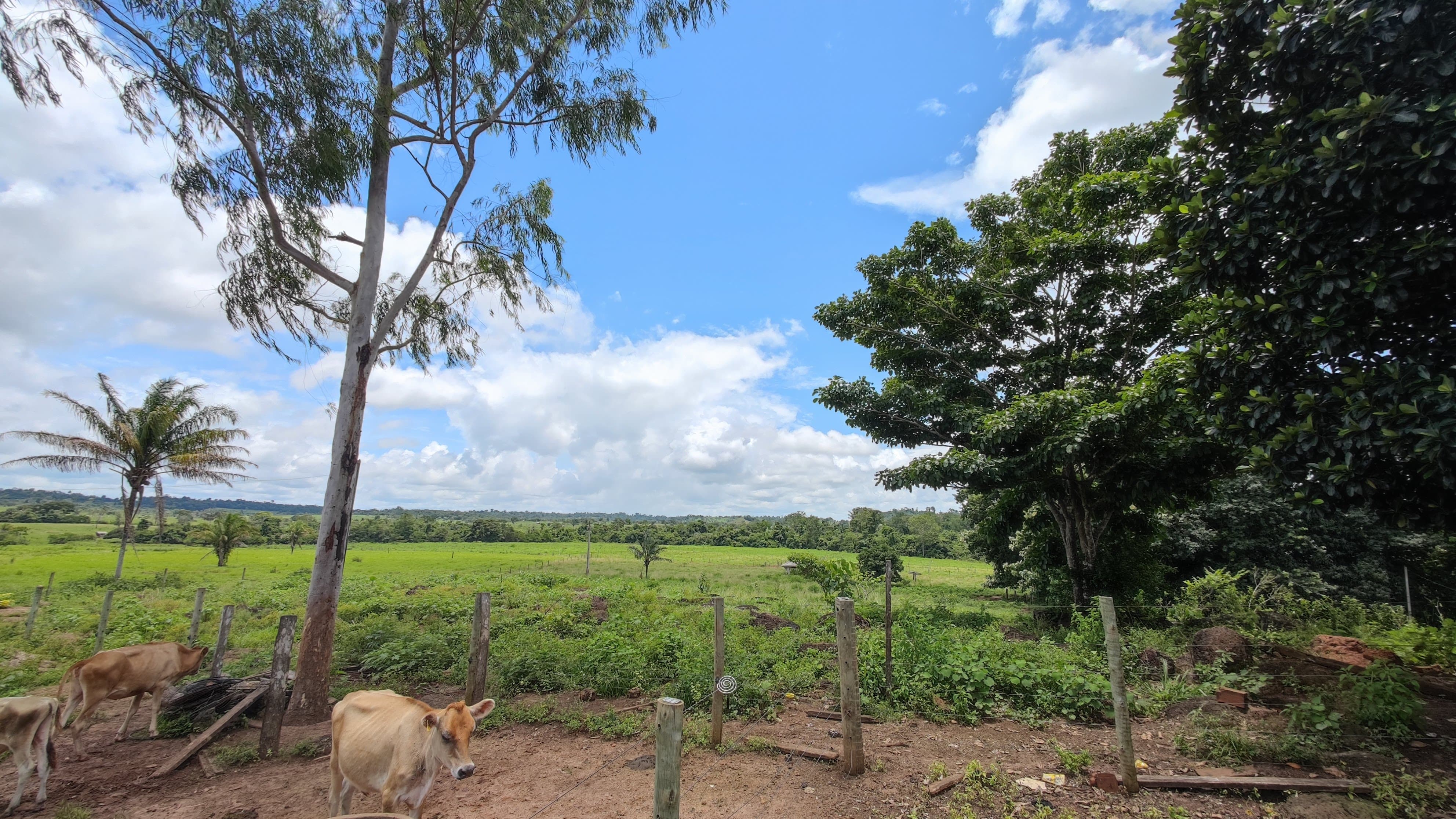 Fazenda à venda, 4960000m² - Foto 1