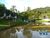 Terreno, 314 hectares - Foto 1