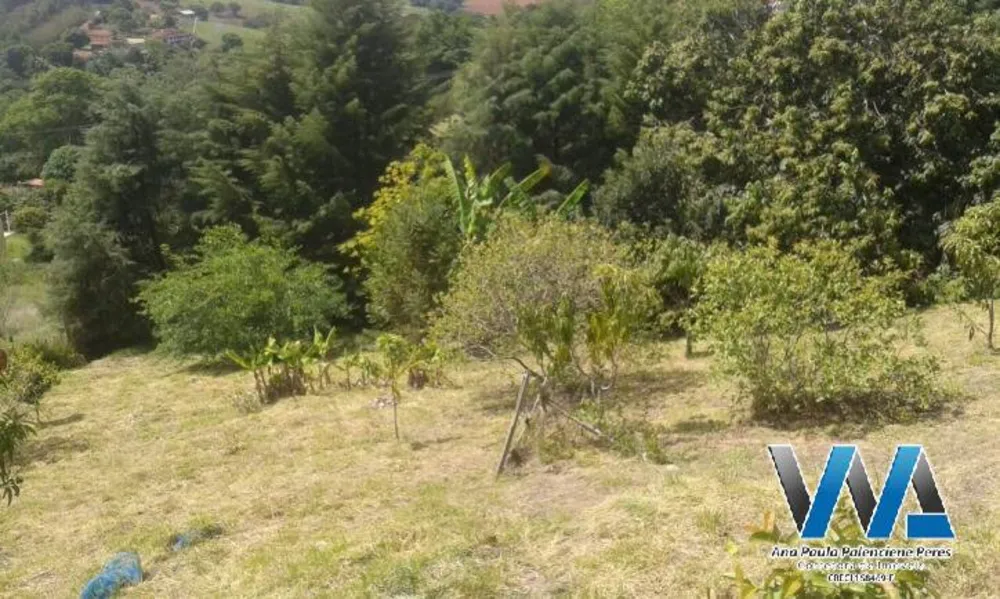 Chácara, 3 quartos, 1815 m² - Foto 16
