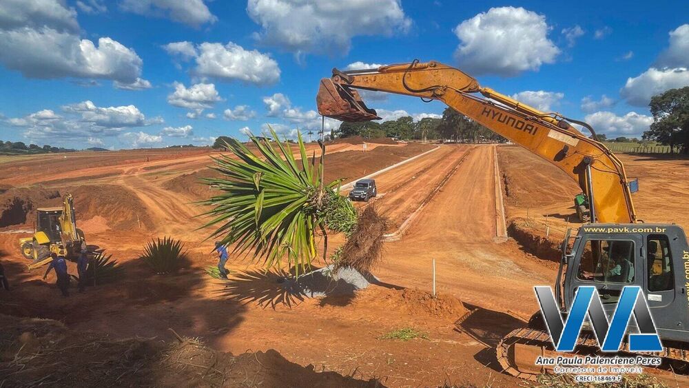 Terreno, 250 m² - Foto 4