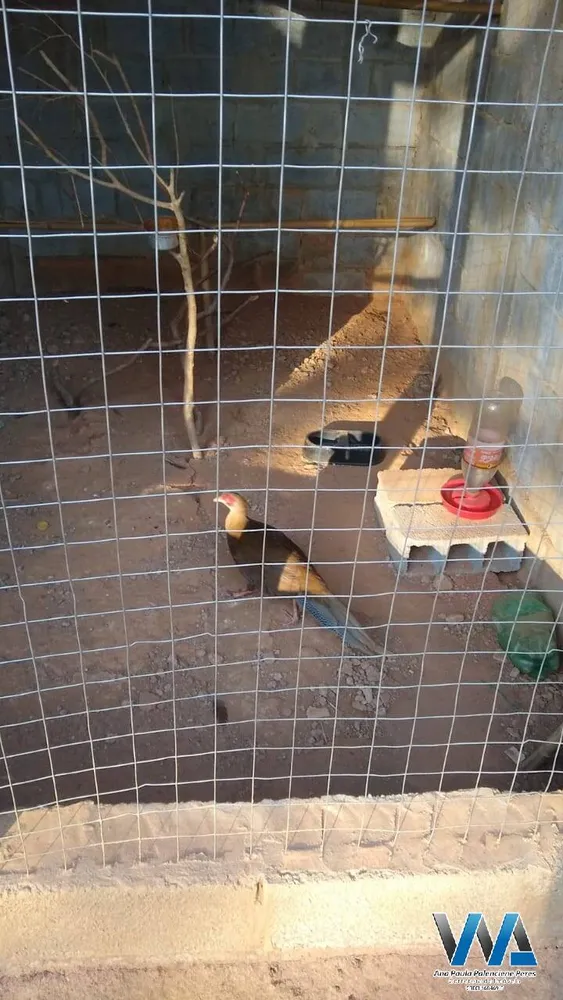 Casa, 3 quartos, 350 m² - Foto 10