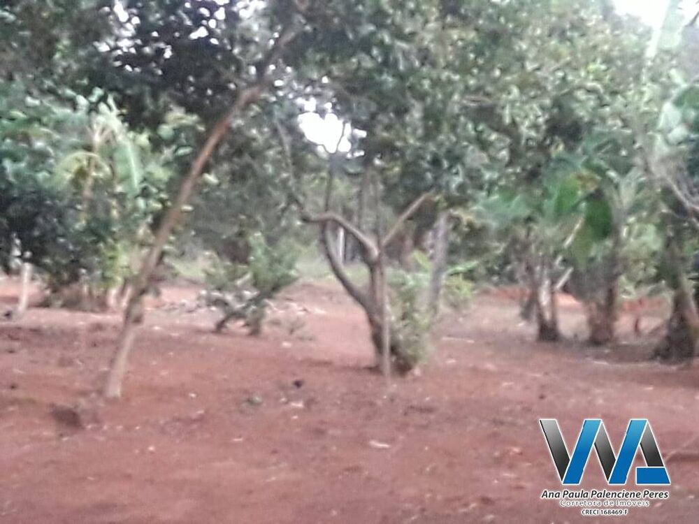 Chácara, 3 quartos, 1 hectares - Foto 2