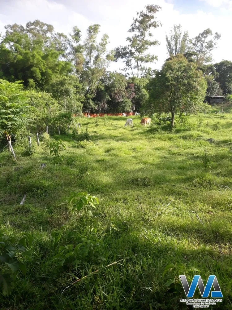 Sítio, 6 quartos, 4 hectares - Foto 7