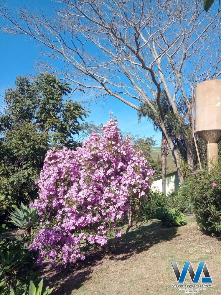 Chácara à venda com 3 quartos, 540m² - Foto 6