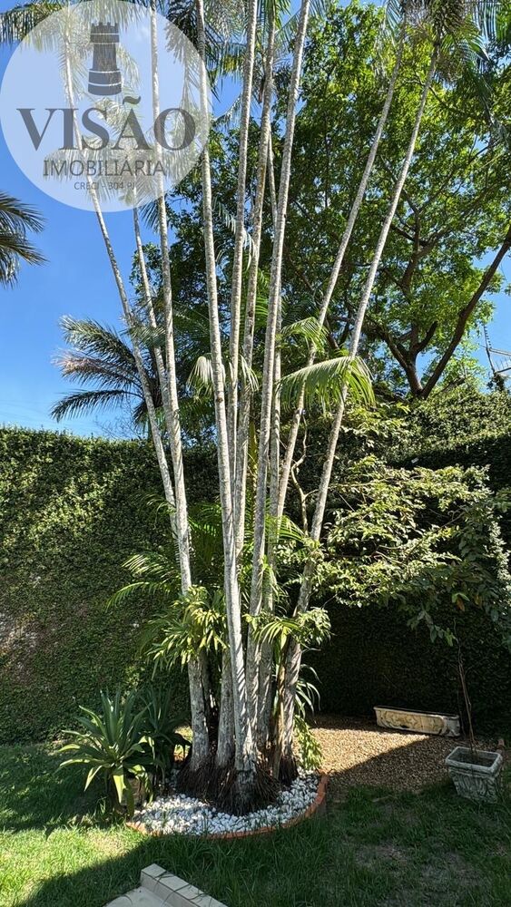 Casa, 4 quartos - Foto 3