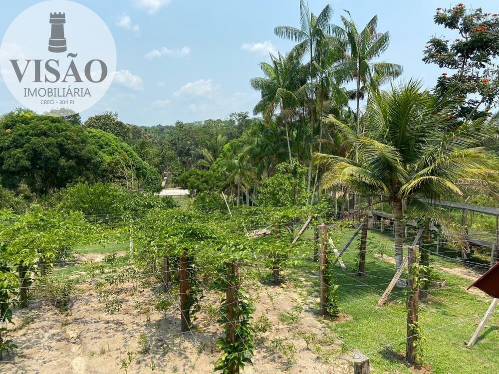 Sítio, 1 hectares - Foto 11