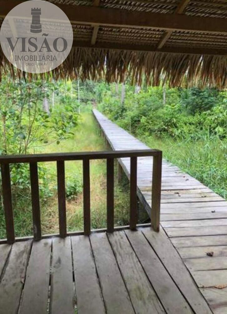 Sítio, 1 hectares - Foto 13