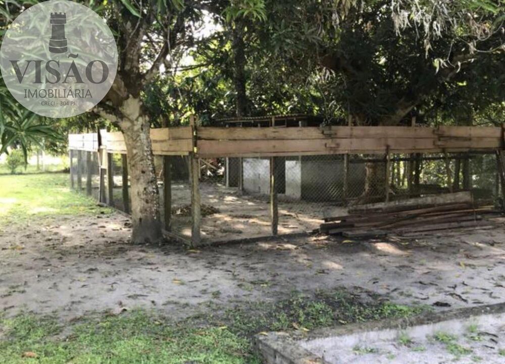 Sítio, 1 hectares - Foto 10