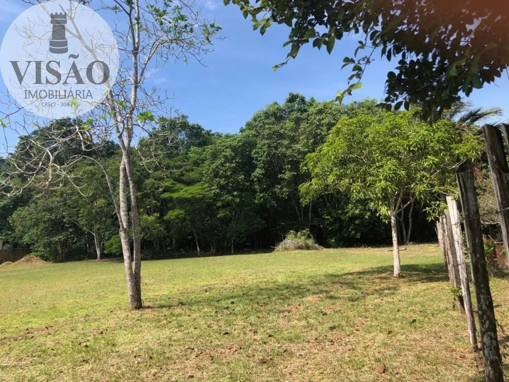 Terreno, 6000 m² - Foto 7