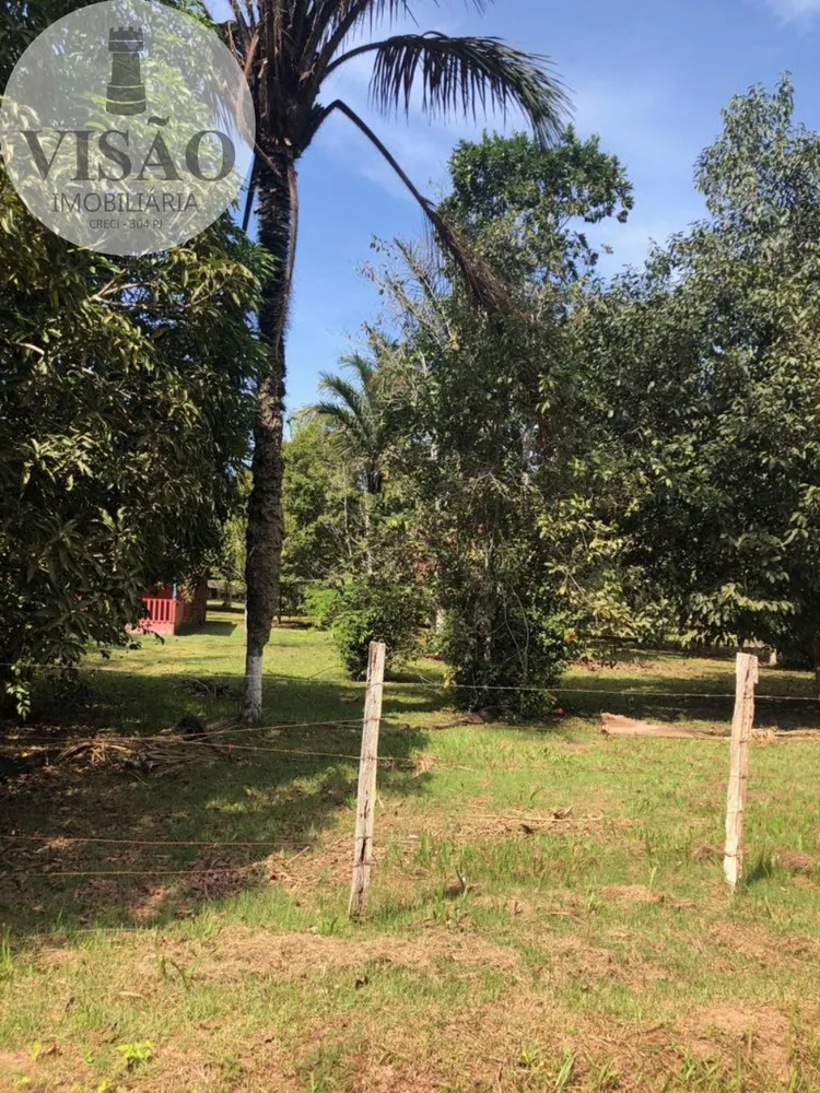 Terreno, 6000 m² - Foto 6