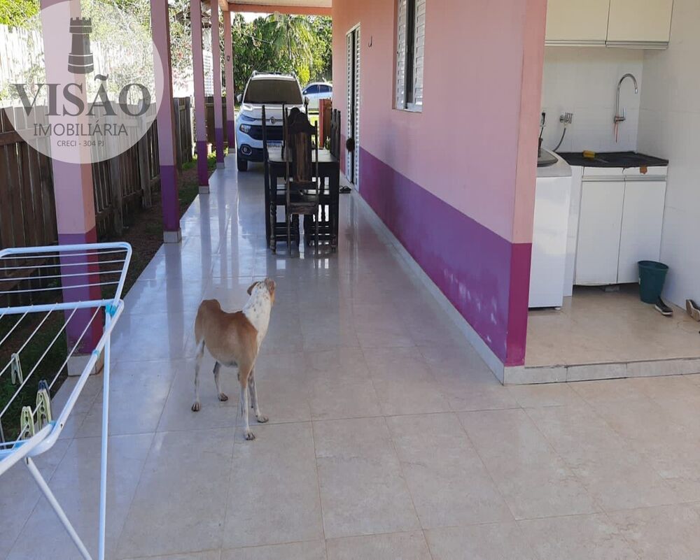 Sítio, 4 hectares - Foto 12