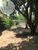 Terreno, 2050 m² - Foto 8
