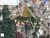 Terreno, 2050 m² - Foto 12