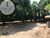 Terreno, 2050 m² - Foto 6