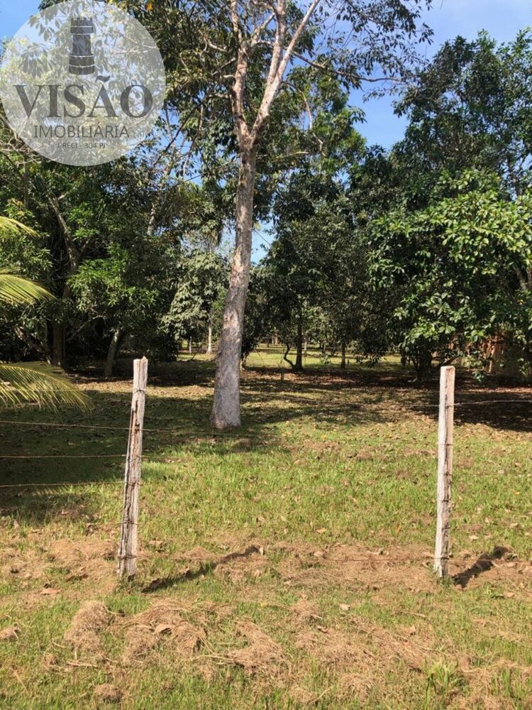 Terreno à venda, 6000m² - Foto 7