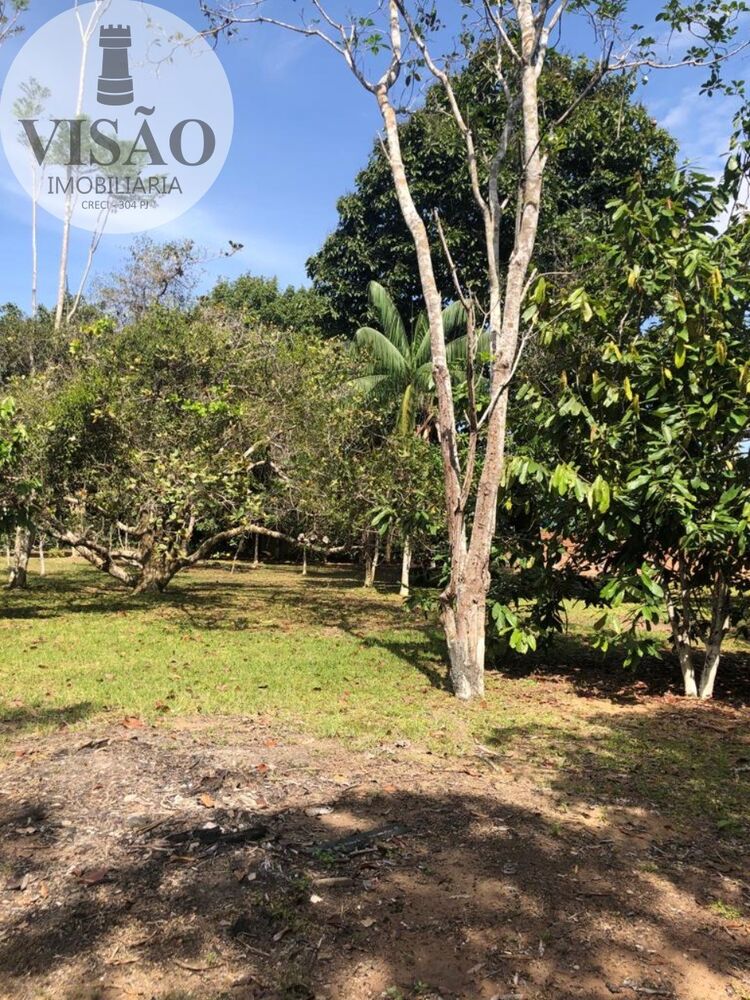 Terreno à venda, 6000m² - Foto 14