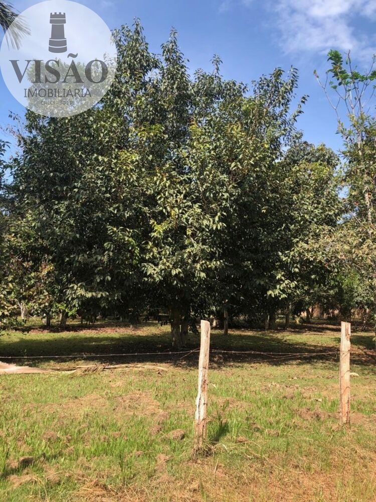 Terreno, 6000 m² - Foto 4