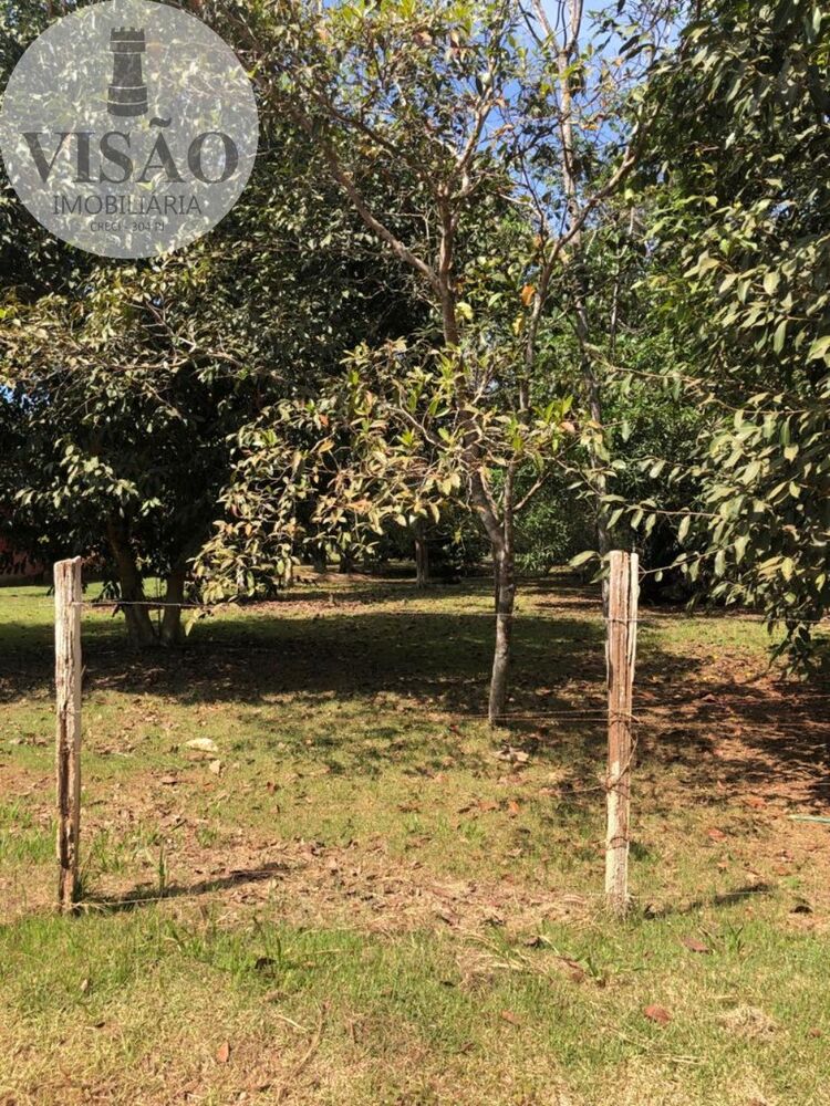 Terreno à venda, 6000m² - Foto 6