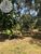 Terreno, 6000 m² - Foto 11