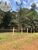 Terreno, 6000 m² - Foto 3
