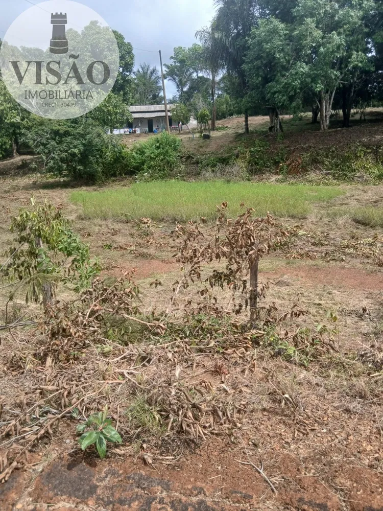 Fazenda, 15 hectares - Foto 8