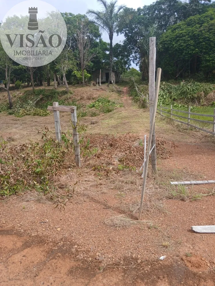 Fazenda, 15 hectares - Foto 7