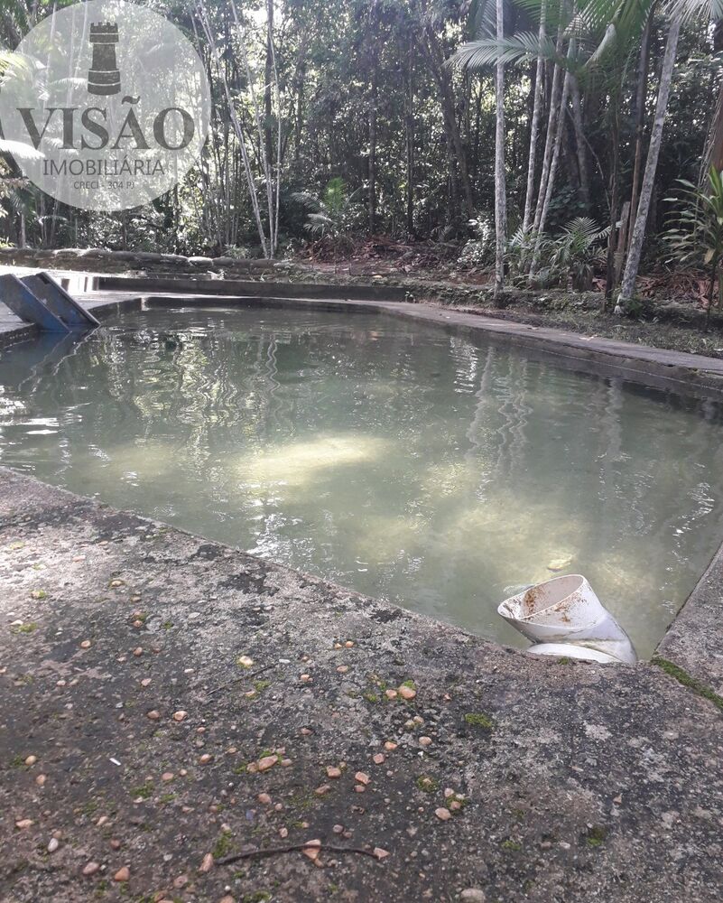 Sítio, 3 quartos, 700 m² - Foto 6