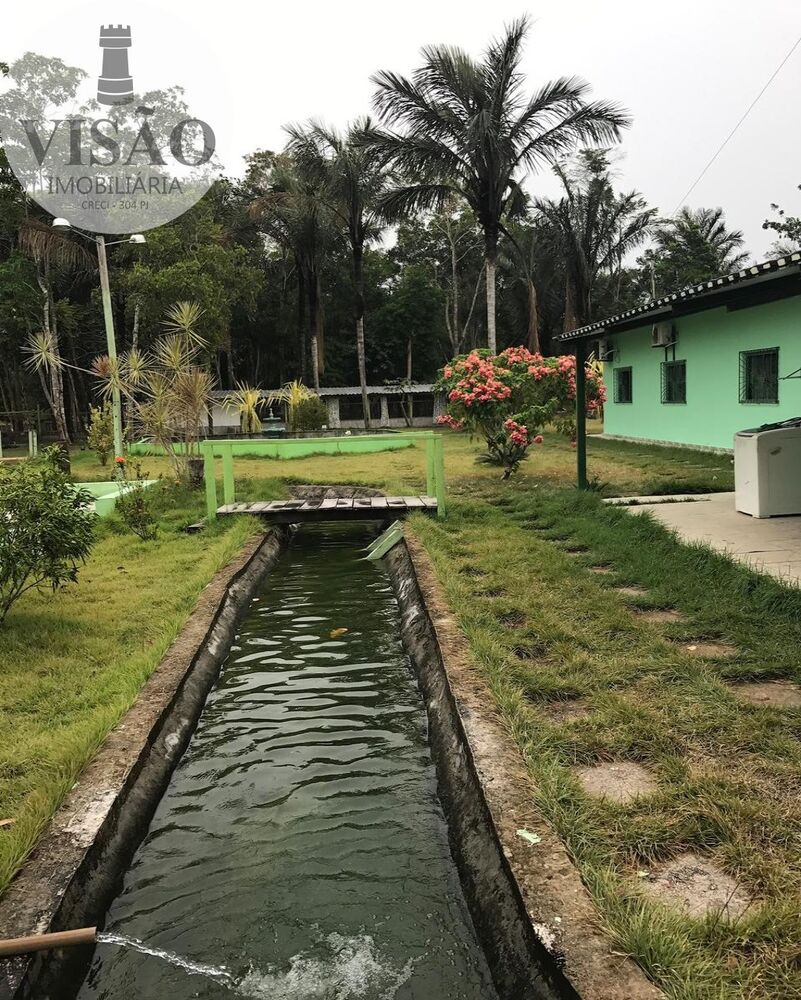 Fazenda à venda com 4 quartos, 8m² - Foto 12