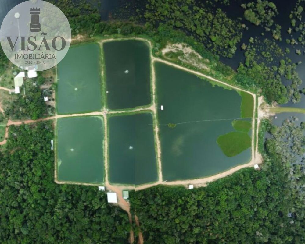 Fazenda à venda com 4 quartos, 8m² - Foto 7