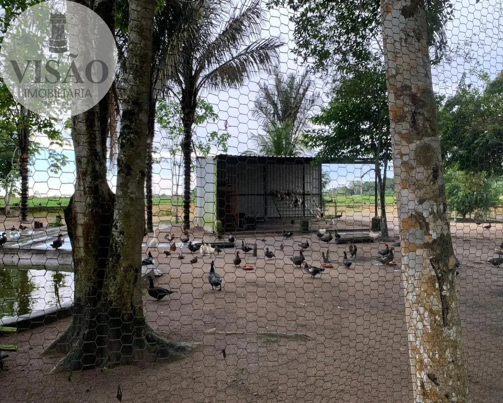 Sítio, 4 quartos, 8 m² - Foto 15