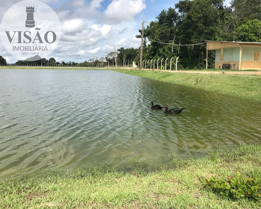 Fazenda à venda com 4 quartos, 8m² - Foto 9
